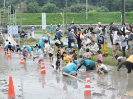 DSCN8952-crop.JPG