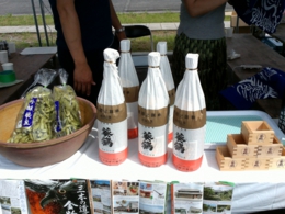 WIN_20150711_150258.jpg